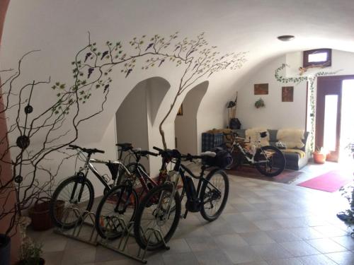 Iekārtas, B&B da Erica in Tione di Trento