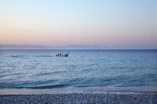 Sunshine Rhodes - image 13