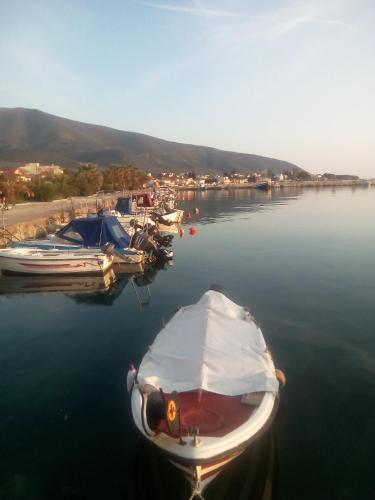  Dimitra's House in Skala Kallirachis