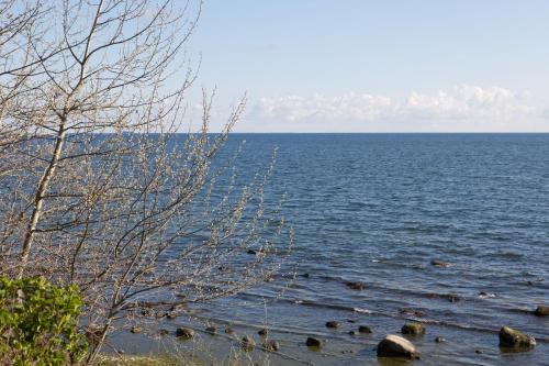 Waldpavillon, Fehmarn (foto 4)
