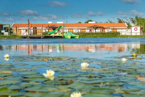 Monte do Zeca - image 3