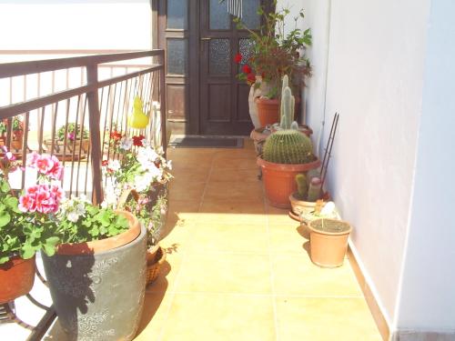 Apartmani Dado - image 4