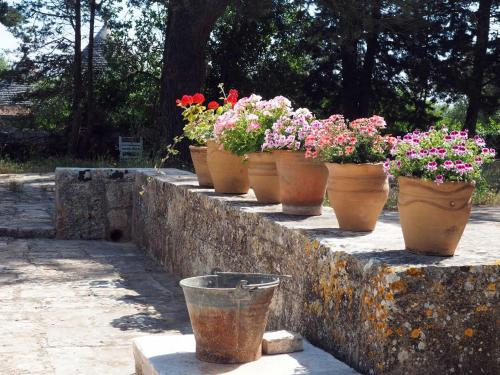 I Giardini di Pomona