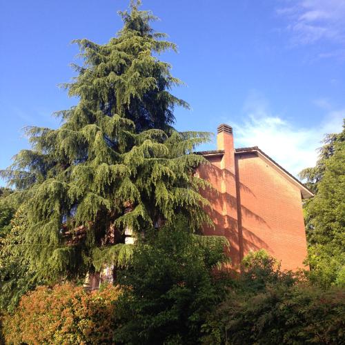 B&B Il Picchio, Boloňa (fotografie 5)