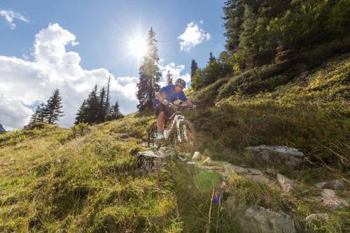T3 Alpenhotel Garfrescha - image 7