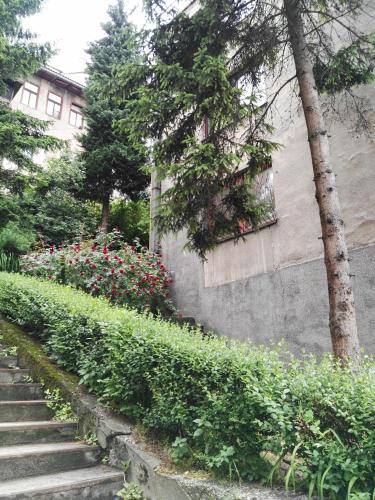 Tarhana Apartment Old Town - image 2
