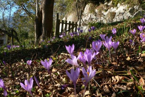 Hotel Posada del Valle in Collía
