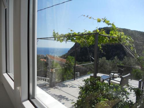 Apartment Djukovic in Petrovac