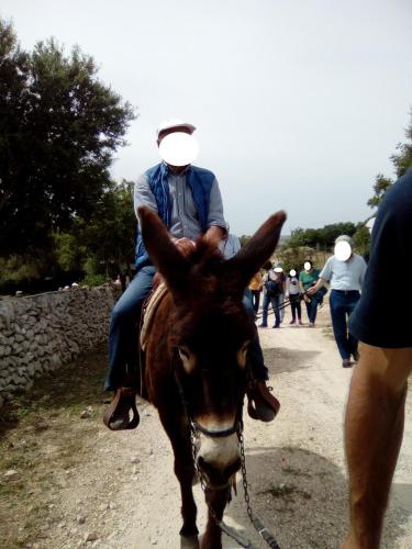 Agriturismo Agrimilo