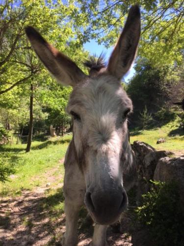 Camping Calme et Nature