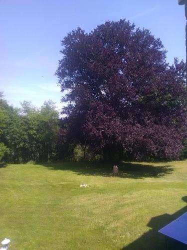 Pierre Deluen Domaine de la Grange de Quaire Room Type - Family Room with Garden View