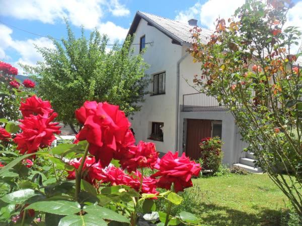 Guest House Olbina - Croazia