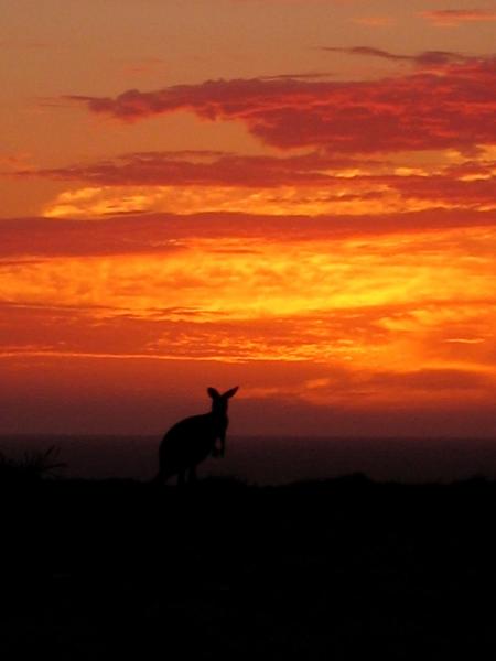 The photo shows the Gnaraloo Station - Homestead located in the city of Carnarvon.