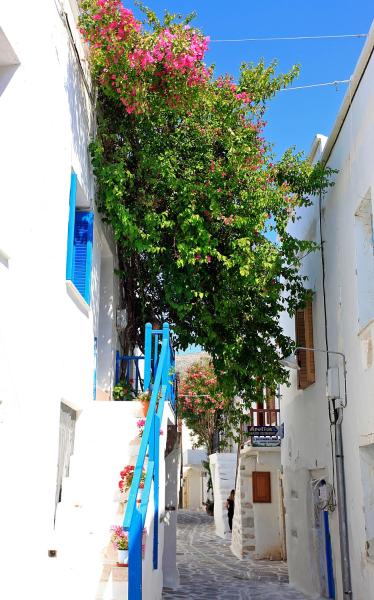 Bougainvillea House - Paros