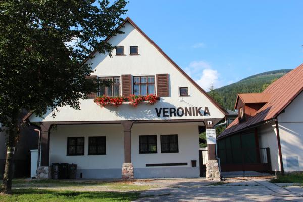 A la foto es mostra l'objecte Horský dům Veronika situat a la ciutat de Černý Dŭl.