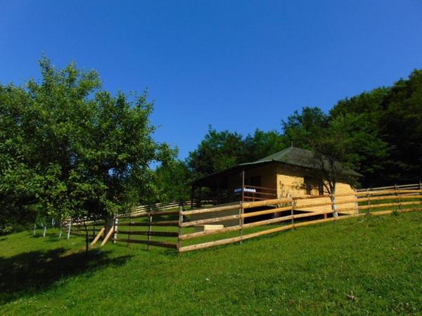 På billedet ses objektet Forest Lodge on the Pyramid beliggende i byen Visoko.