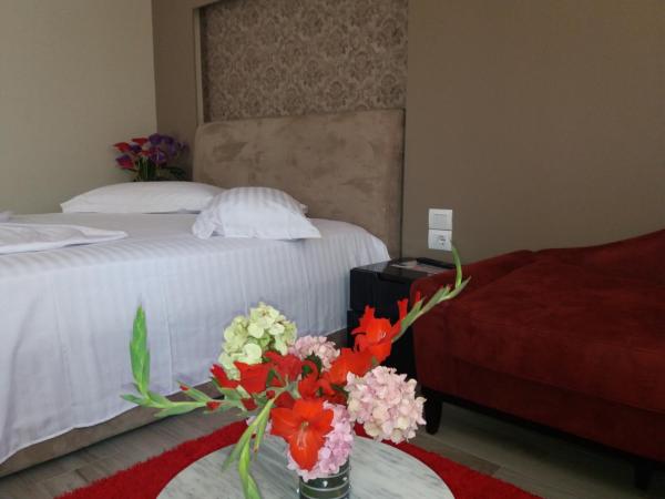 En la foto se muestra el objeto Hotel Erandi ubicado en la ciudad de Rinas.