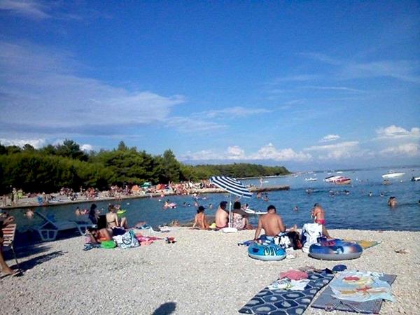 Apartment Kamelia - Vir Insel, Kroatien