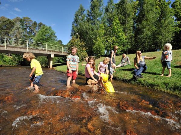 Na zdjęciu widoczny jest obiekt NRMA Bright Holiday Park położony w mieście Bright.