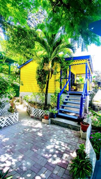 Yocamatsu, Caye Caulker
