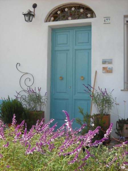 写真にはアルタムーラ市にあるGiardino della Moscatellaが写っています。