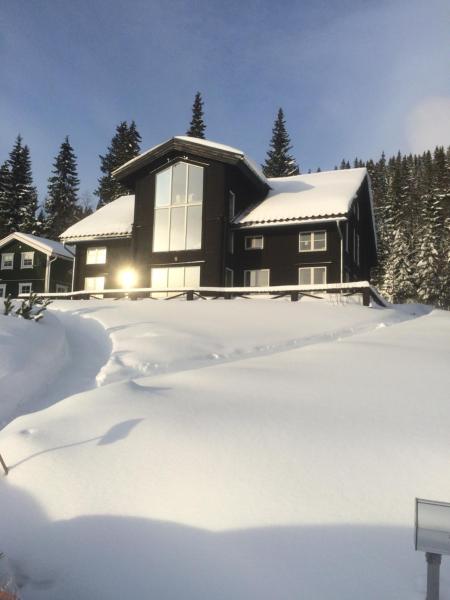 På billedet ses objektet Villa Edvinsväg 8 beliggende i byen Åre.