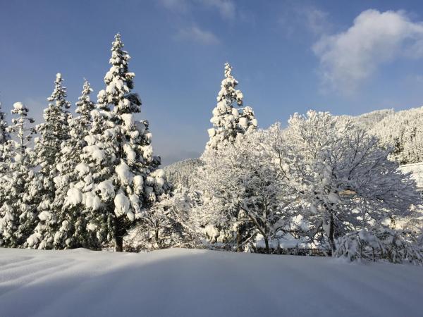 Foto 9: Kozaemon