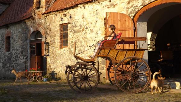 Na fotografii je vidět objekt Studniska Country Estate nacházející se ve městě Studniska.