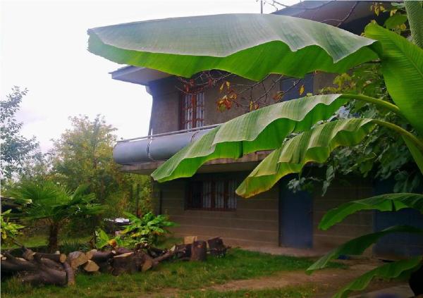 Farmer's Guest House, Telavi