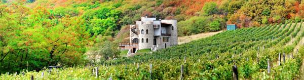 Na zdjęciu widoczny jest obiekt Babaneuris Marani położony w mieście Zemo Alvani.