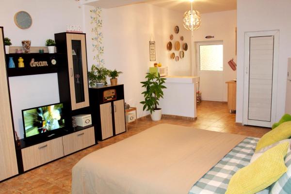 Foto 6: Collosal Studio