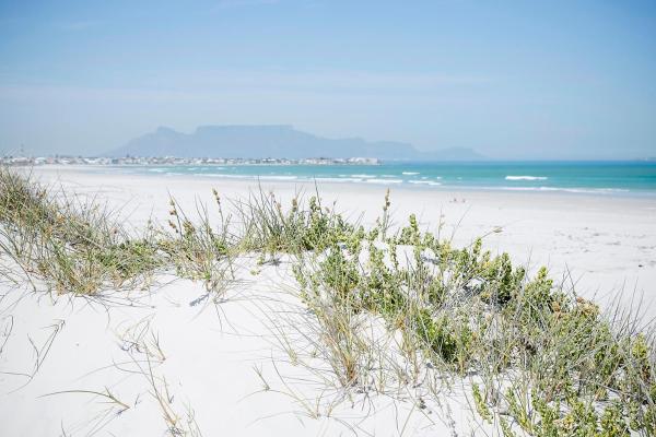 A la foto es mostra l'objecte Amazing Beach House in Melkbos! situat a la ciutat de Van Riebeeckstrand.