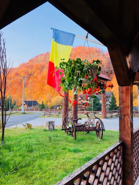 Nella foto è visibile l'oggetto Pensiunea Ovidiu&Paula situato nella città di Blidireasa.