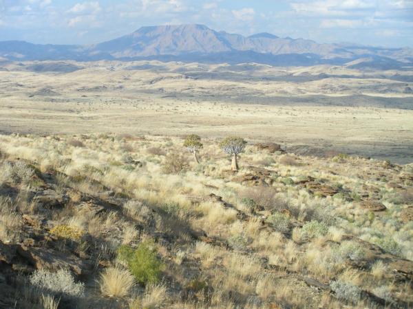 Na zdjęciu widoczny jest obiekt Namibs Valley Lodge położony w mieście Arizona.