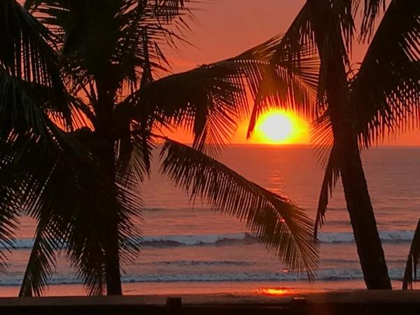 A la foto es mostra l'objecte Gallina E Palo Beachfront Hotel situat a la ciutat de Jacó.