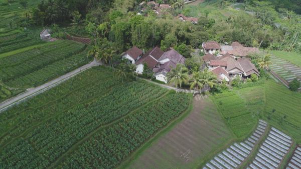 En la foto se muestra el objeto Griya Harja Homestay ubicado en la ciudad de Giripurno.