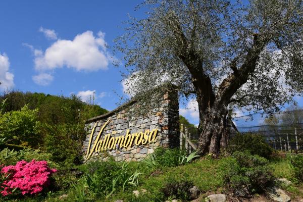Foto 6: Wine & Art Relais Vallombrosa