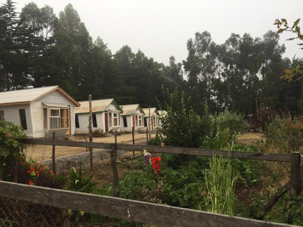 Hecmar 2, Pichilemu