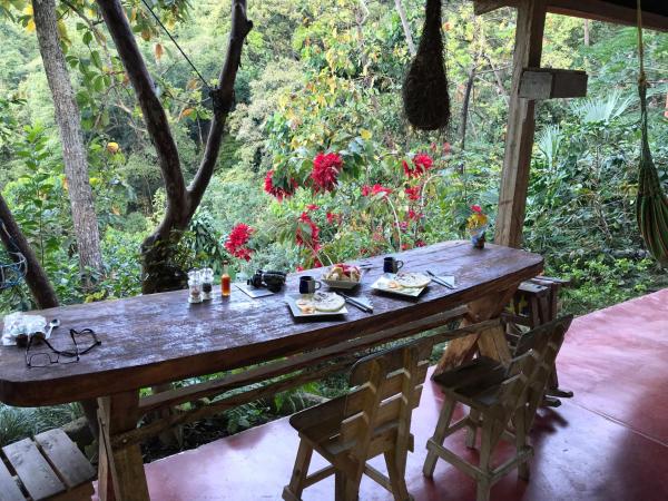 A la foto es mostra l'objecte Finca San Rafael - Cafe y Cacao situat a la ciutat de Minca.