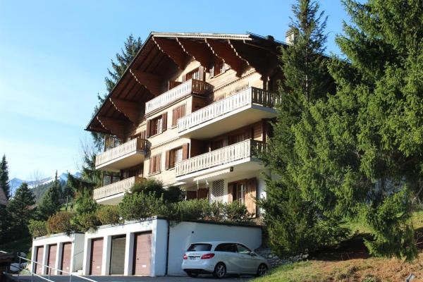 Na fotografii je vidět objekt Appartement Le Roc nacházející se ve městě Gstaad.