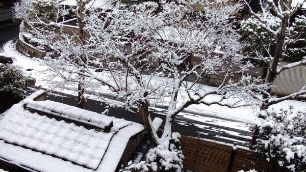 Nella foto è visibile l'oggetto Kinkaku situato nella città di Anju.