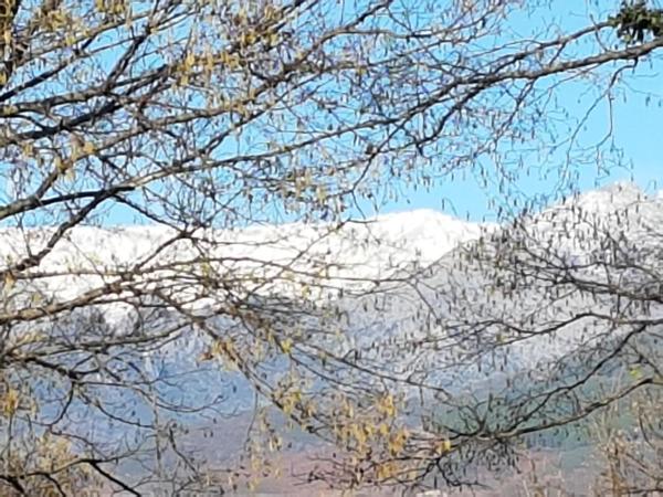 Na fotografii je vidět objekt Hosteria Doña Conchi nacházející se ve městě Madrigal de la Vera.