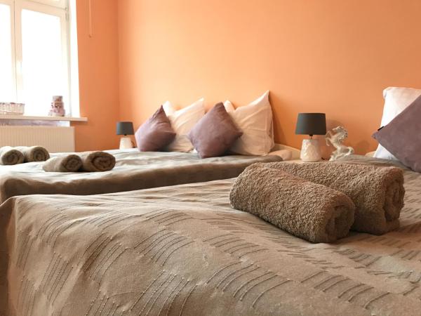 A la foto es mostra l'objecte Renovated apartment in Opole situat a la ciutat de Opole.
