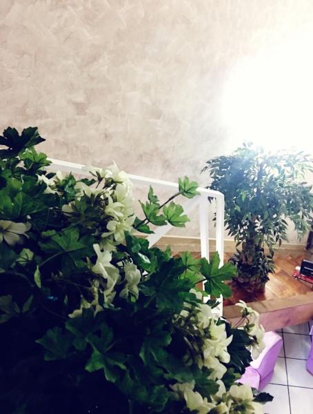 Na foto é possível ver o objeto Suite Orchidea by Dimorra localizado na cidade de Naples.