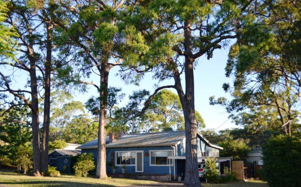 The photo shows the Casa Husky located in the city of Huskisson.