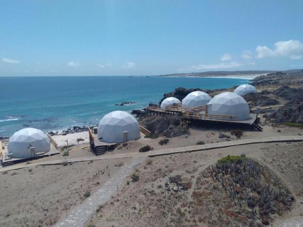 The photo shows the Kunza Kamanchacos located in the city of Chañaral de Aceituna.