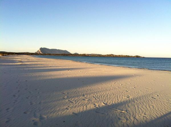 Na zdjęciu widoczny jest obiekt Villa antares położony w mieście San Teodoro.