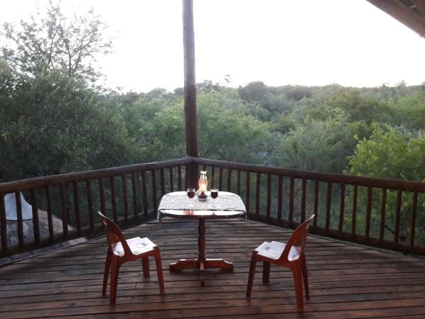 Little Bush Baby - Marloth Park