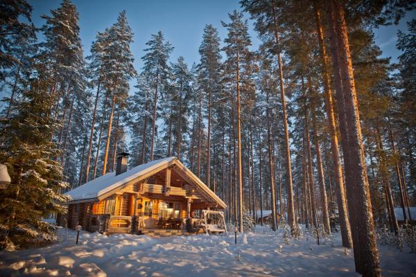 Laukkala Cottages Reindeers & Husky