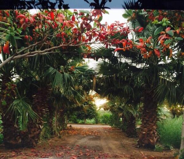 Revaloo Farm (Family Only) - Ras al Khaimah